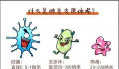 上禾科技
